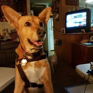 Meet your Posher, Doris